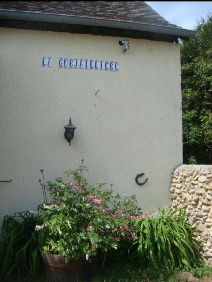 Chambre d'hôtes La Guéjaillière Beaumont-Pied-de-Boeuf  Habitación foto